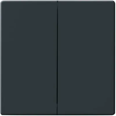 Obrázek produktu pro Busch-Jaeger 1751-0-2930, Knoflíky, Antracit, 63 mm, 63 mm, 1 kusů