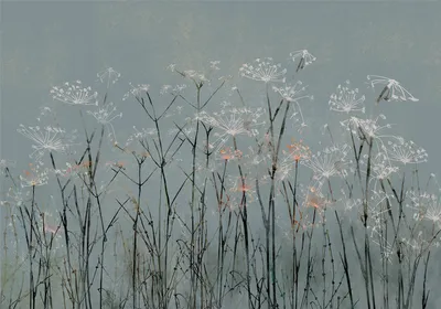 Produktbild von Vlies Fototapete PusteBlumen 350x256 cm Tapeten Wandtapete XXL Blumen Natur Löwenzahn grau b-A-0730-a-a