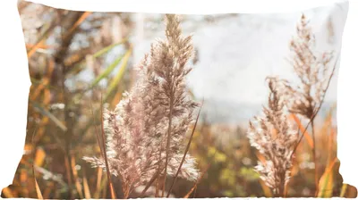 Produktbild von MuchoWow® Zierkissen Sofakissen Wohnzimmer Dekokissen 60x40 cm Schilf - Sonne - Pflanze - Kopfkissen - Polster mit Foto