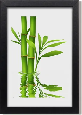 Produktbild von Bild 20x30 MDF-Rahmen, Wandkunst Bambus
