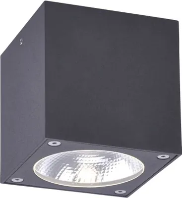 Produktbild von GEORG Paul Neuhaus Deckenleuchte, anthrazit 1xLED 7W 3000K Aussenleuchte, IP44