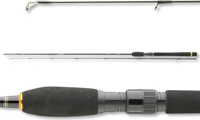 Produktbild von Daiwa Legalis Spin 2,10m 10-30g