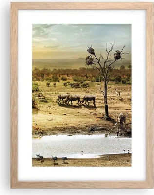 Produktbild von Gerahmtes Poster - Rahmen in heller Eiche - Safari Tiere - 30x40 cm - Wand Bild - Wanddeko - Wandbilder - Kunstposter - Wandposter - Bilderrahmen - Bilder - Kunstdruck - Wandbild - P2NPA30x40-3880