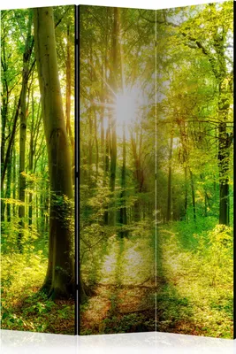 Produktbild von 3-teiliger Doppelseitiger Vlies Paravent - Forest Rays 135x172 cm Landschaften b-B-0383-z-b