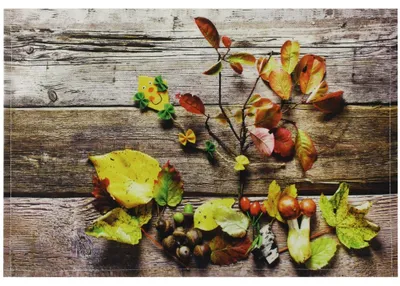 Immagine prodotto di Tovaglietta in tessuto FOGLIA foglie autunno legno autunno 1 pz