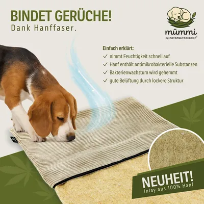 Produktbild von Hanfmatte Mit Cordbezug In Gr.2 Beige