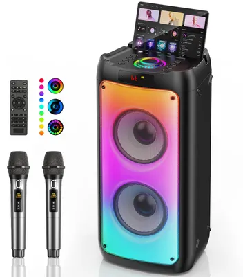 Karaoke-Maschine mit 2 Mikrofonen, Bluetooth, tragbar, RGB-Licht