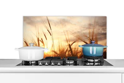 Obrázek produktu pro KitchenYeah® Splashback kitchen - kuchyňský splashback - ochrana stěny sporáku a dřezu - rákos - tráva - západ slunce - příroda - horizont 90x45 - hliníkový dibond (alternativa ke skleněnému splashbacku) - Hitz