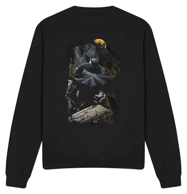 Productafbeelding van Batman - "Sweeping" hoodie voor heren/dames, uni model, TV41421 (maat L) (zwart)