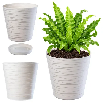 Obrázek produktu pro KADAX květináč s podšálkem "Greve", květináč, plastový květináč, květináč, kulatý, 21 cm, krémový