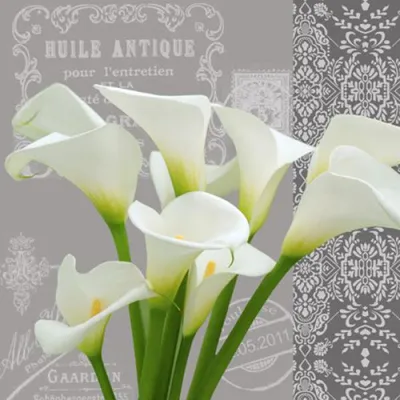 Produktbild von Papstar Servietten Calla grau weiss Design Edition 3lagig 20 Stück