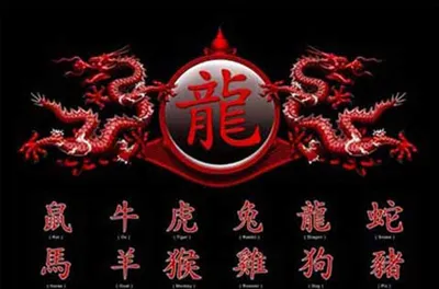 Produktbild von Chinese Writing Drachen Schriftzeichen - Poster Druck - Größe 91,5x61 cm