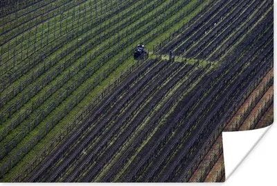 Produktbild von MuchoWow® Poster Traktor - Landwirt - Land 120x80 cm - Bilder