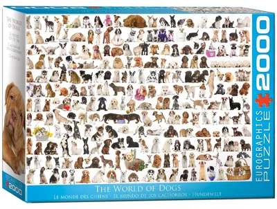 Produktbild von EUROGRAPHICS Puzzle World of Dogs 2000 Teile