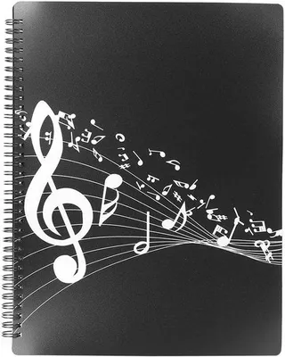 Immagine prodotto di Portaspartiti impermeabile per strumenti musicali, nero, formato A4, 40 scomparti, materiale ABS.