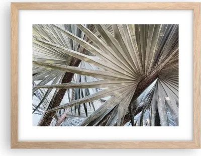 Produktbild von Gerahmtes Poster - Rahmen in heller Eiche - Blatt Palme Natur - 40x30 cm - Wand Bild - Wanddeko - Wandbilder - Kunstposter - Wandposter - Bilderrahmen - Bilder - Kunstdruck - P2NAA40x30-5056