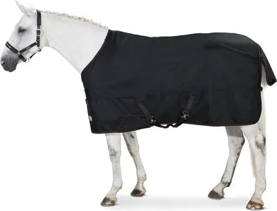 Produktbild von Eskadron Basics Gamma 150 Weidedecke, Größe:165, Farbe:schwarz