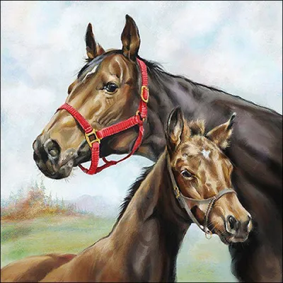 Produktbild von Servietten 33x33 cm - Horse love