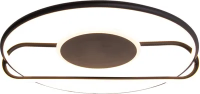 Image de Plafonnier LED Salon Plafonnier Chambre à coucher Moderne noir 1384822
