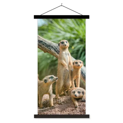 Produktbild von MuchoWow® Textilposter Familie - Tiere - Erdmännchen 40x80 cm mit schwarzem Rahmen - Wandemalerei