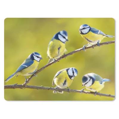 Produktbild von MuchoWow® Mauspad Mousepad Vogel - Blaumeise - Äste - Sonne 23x19 cm - Mousepads - Maus Mat - Pad - Mausunterlage - Schreibtischunterlage - Mauspad