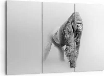 Produktbild von Bild auf Leinwand - Leinwandbild - Orang-Utan Tier - 105x70cm - Wand Bild - Wanddeko - Wandbilder - Leinwanddruck - Bilder - Kunstdruck - Wanddekoration - Leinwand bilder - Wandkunst - CE105x70-4105