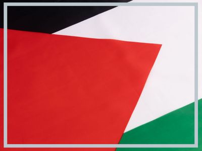 Palästina Palestine Fahne Flagge 90 x 150 cm Fanartikel Hissfahne