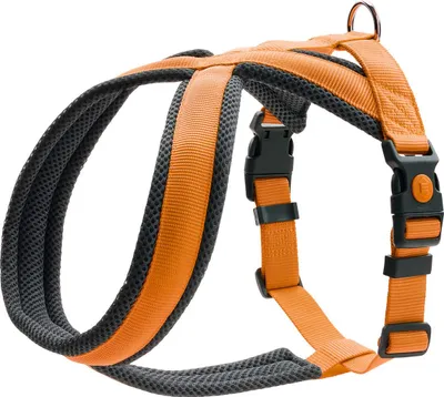 Produktbild von Hunter Geschirr London Comfort, Größe:M, Farbe:orange