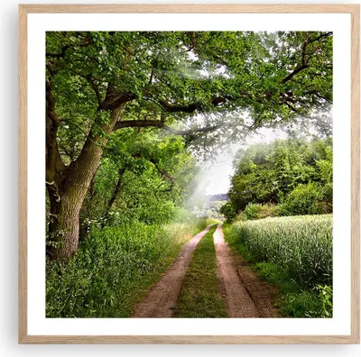 Produktbild von Gerahmtes Poster - Rahmen in heller Eiche - Pfad Natur Wald Grün - 60x60 cm - Wand Bild - Wanddeko - Wandbilder - Wandposter - Bilderrahmen - Bilder - Kunstdruck - Wandbild - P2NAC60x60-2637