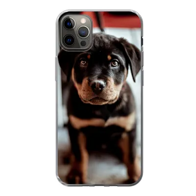 Produktbild von MuchoWow® Handyhülle Schutzhülle Hülle für iPhone 12 Pro Max Jung - Hund - Kamera Silikon Softcase Handy Hülle - Hartschale