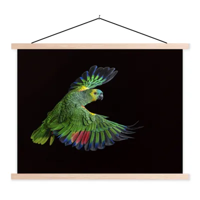 Produktbild von MuchoWow® Textilposter Nahaufnahme bunter Papagei 40x30 cm mit holzfarbenen Rahmen - Bilder