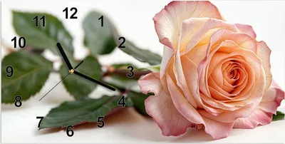 Produktbild von Wanduhr aus Glas mit Motiv Elegante Rose Blüte- 60 x 30 cm - inkl. Aufhängesystem