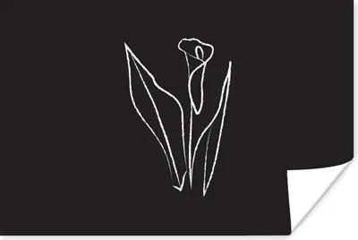 Produktbild von MuchoWow® Poster Blumen - Strichzeichnungen - Schwarz - Weiß 90x60 cm - Schlafzimmer