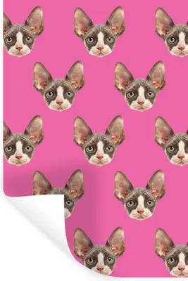 Produktbild von MuchoWow® - Sticker - Dekorfolie