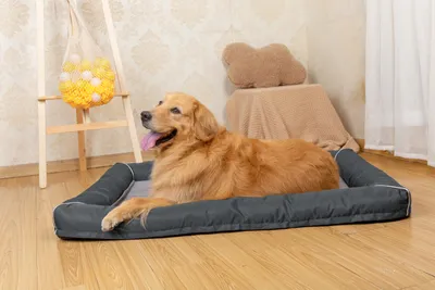 Produktbild von Raikou Hundebett Hundesofa Katzenbett Tierbette Bezug abnehmbar und waschbar Boden wasserabweisend Anti Rutsch Grau Gr. 100*80cm