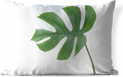 Produktbild von MuchoWow® Outdoor Kissen - Botanisches Blatt auf weißem Hintergrund - 50x30 cm - Wetterfest - Lounge Kissen - Sofa kissen - Wohnzimmer Dekoration
