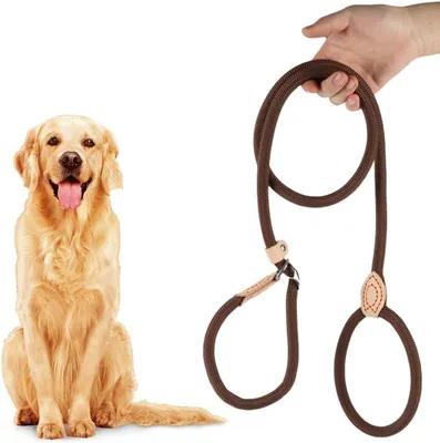 Obrázok produktu pre Retriever vôdzka 180 cm, s obmedzovačom ťahu, pre psov, hnedý nylon, výcviková vôdzka