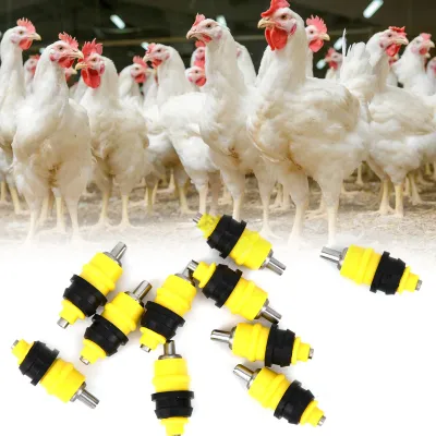 Obrázok produktu pre Sliepka na pitie, Sliepka na pitie, Hydina Automatický drinker, Hydina na pitie, Sliepka na pitie, Sliepka na pitie, Sliepka na pitie