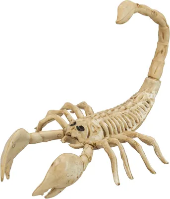 Produktbild von Gruseliges Tierknochen-Dekoration – Skelett – Halloween-Dekoration