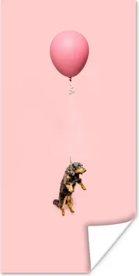 Produktbild von MuchoWow® Poster Dackel schwebt durch einen Ballon nach oben 20x40 cm - Plakat - Foto