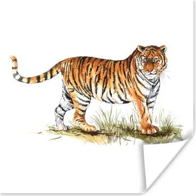 Produktbild von MuchoWow® Poster Tiger - Malerei - Gras 30x30 cm - Wandposter - Printing