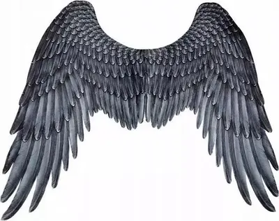 Immagine prodotto di Ali dell'Arcangelo nero 95x75cm