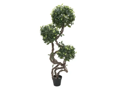 Obrázek produktu pro EUROPALMS Ficus Multi Spiral Stem, umělá rostlina, 160 cm