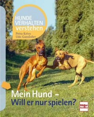 Produktbild von Mein Hund - Will er nur spielen?