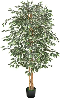 Obrázok produktu pre 180 cm vysoká umelá rastlina Ficus s kvetináčom na vnútornú výzdobu