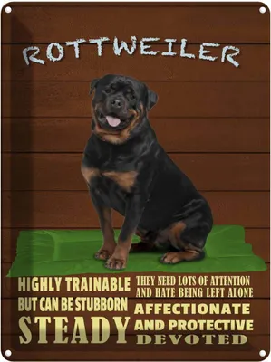 Produktbild von vianmo Blechschild 40x30 cm Rottweiler Hund highly trainable