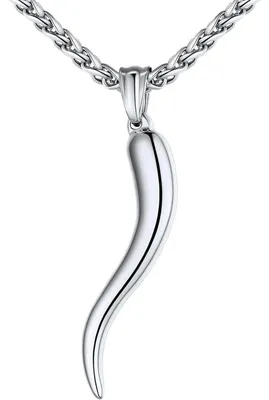 Productafbeelding van Collier met Italiaans hoornbedel, 3D-ontwerp, ketting van 50 cm + 5 cm verlengstuk, gemaakt van roestvrij staal 316L, zilverkleurig