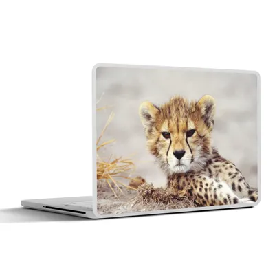 Produktbild von MuchoWow® Laptop Aufkleber Sticker Cover Gepard - Jung - Porträt 30x22 cm - Laptop-Sticker