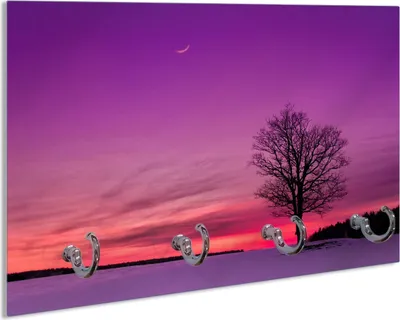 Produktbild von Wallario Handtuchhalter aus Glas, Motiv: Mond und Baum am Abend bei Schnee, 30 x 20 cm mit 4 Haken