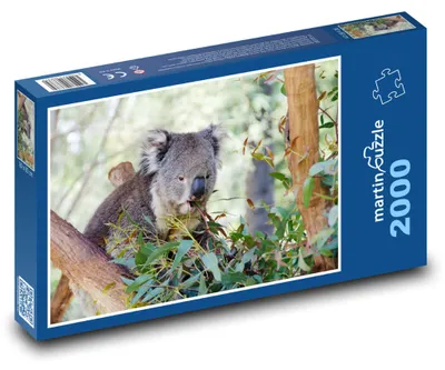 Obrázok produktu pre Puzzle 2000 Koala na strome - vačkovec, zviera - martinpuzzle